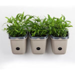 Self Watering Wall Garden Planter (set of ) Décor Flower Pot