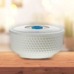 Porcelain Ceramic Bowl With Plastic Lid 6″/White Gold