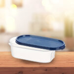 Signoraware Modular Oval , Plastic Container, 500ml